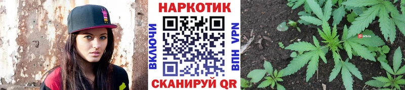 Продажа наркотиков Далматово MDMA  МЕФ  Марихуана 