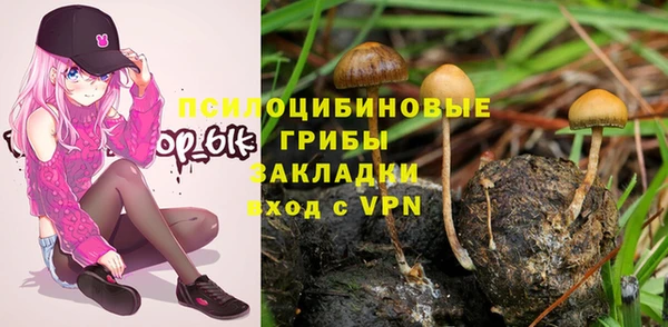 дурь Алексин