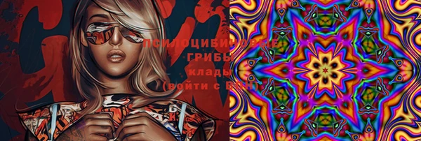 дурь Алексин