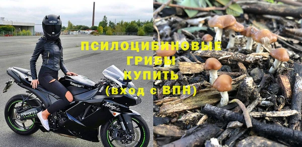 круглые Алзамай