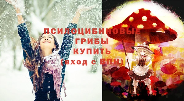 круглые Алзамай