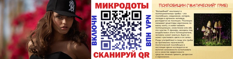 Галлюциногенные грибы мицелий  купить наркотик  Далматово 